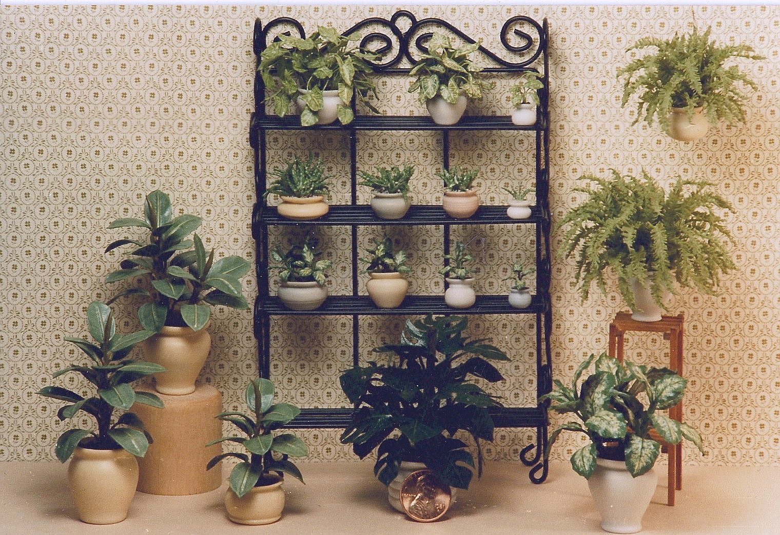 Plant display Nutshell News 1987