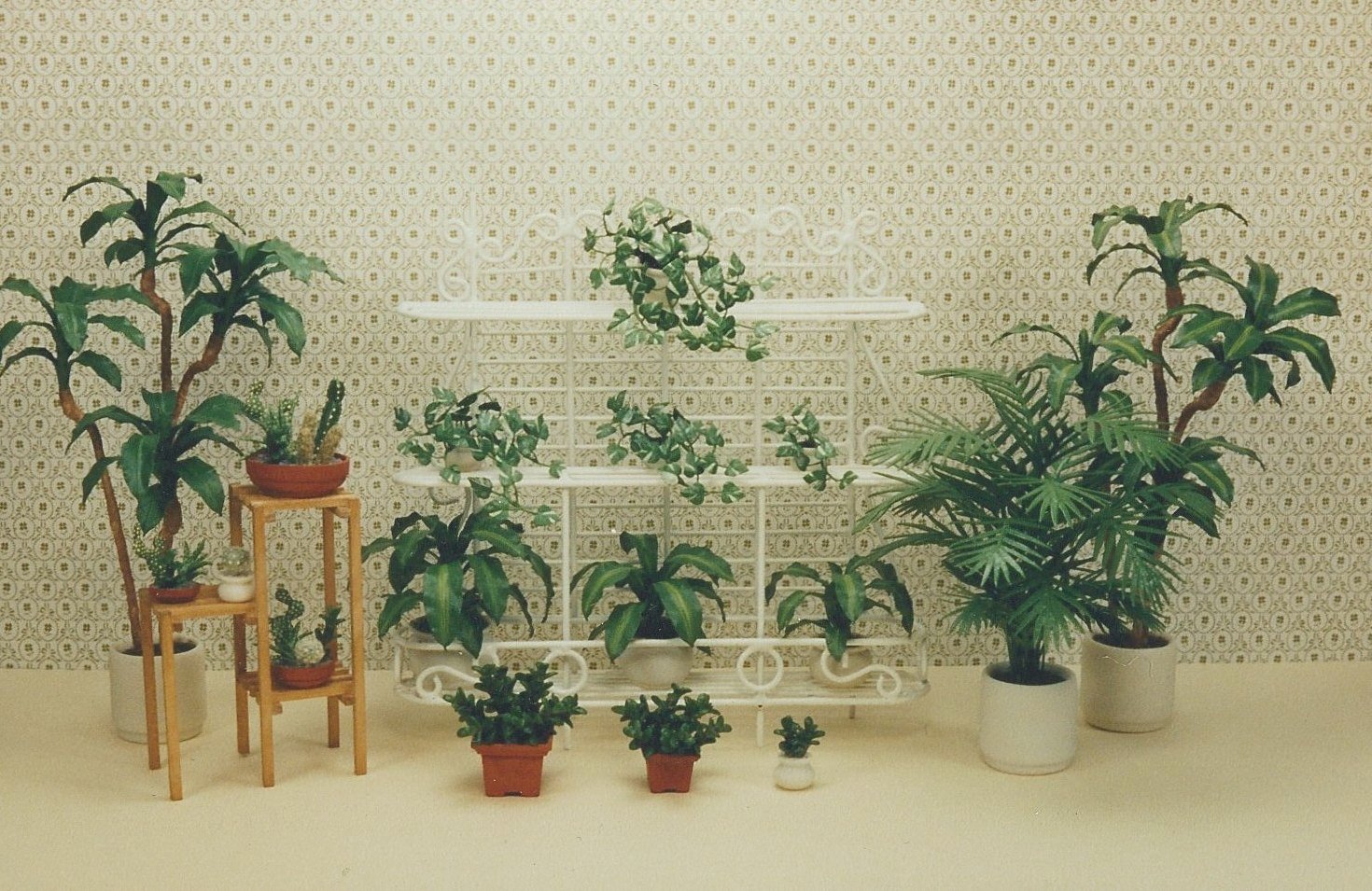 Plant Display 1987