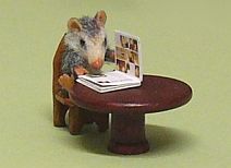 My possum 'Ginny' from Kristy Taylor